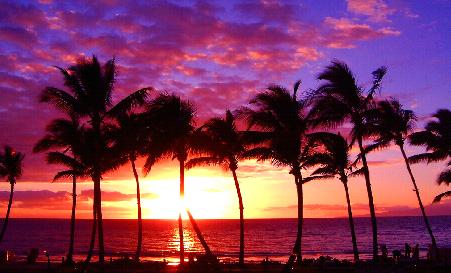 ハワイの夕日 ヤシの木と海と空 最軽量旅行用スーツケースでハワイ旅行